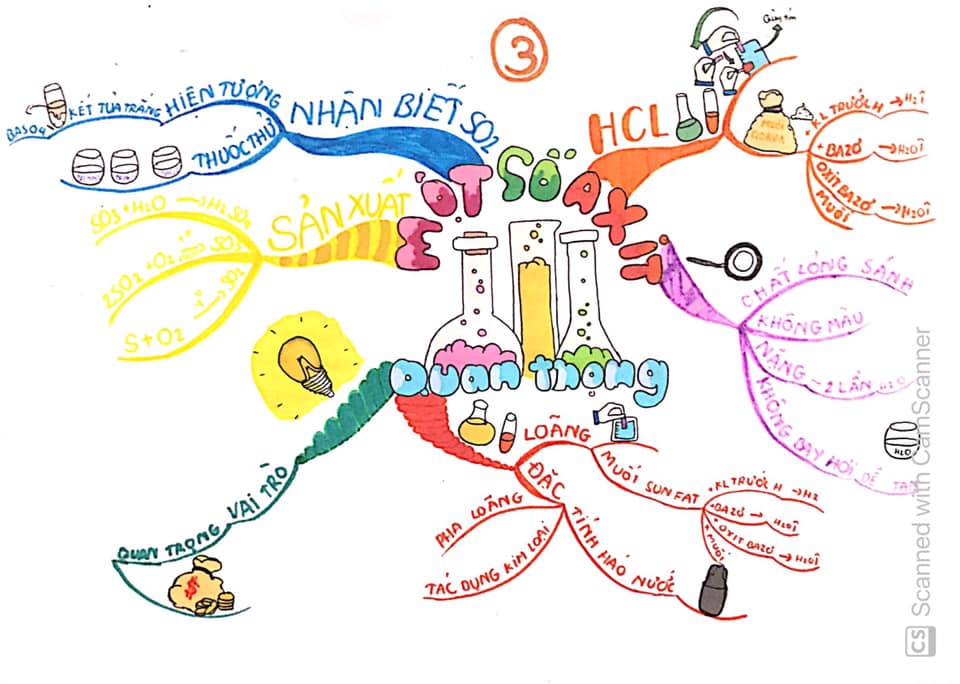 Đào tạo sơ đồ tư duy